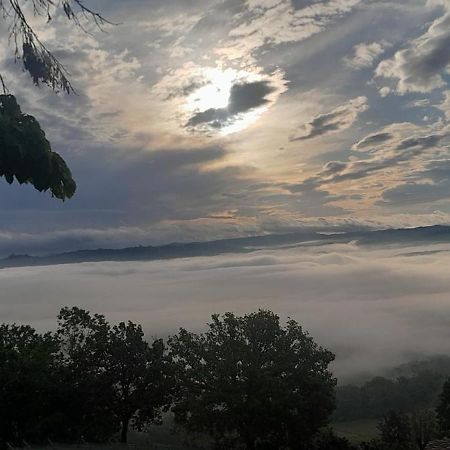 Suite Villa Aurelj Barolo Eksteriør billede